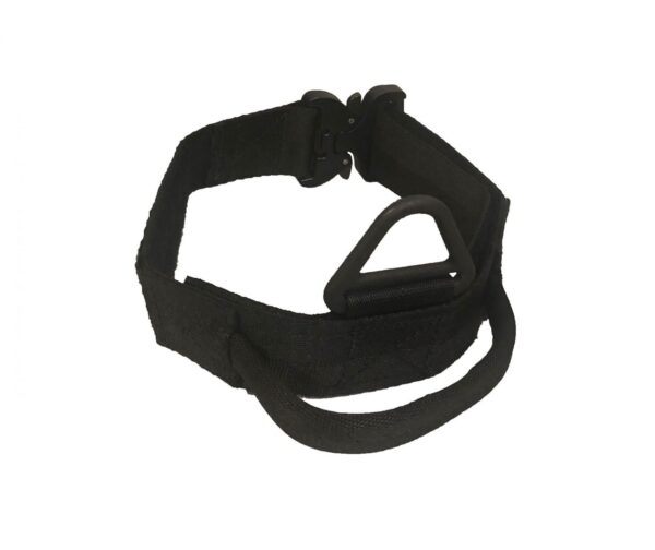 Nylon collar with handle and cobra buckle