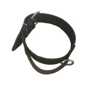 Leather collar with handle