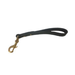 Leather traffic lead with brass clip