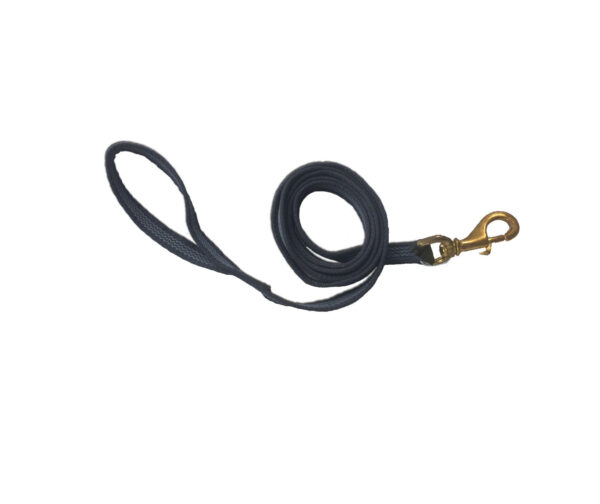 Grippy lead with brass clip