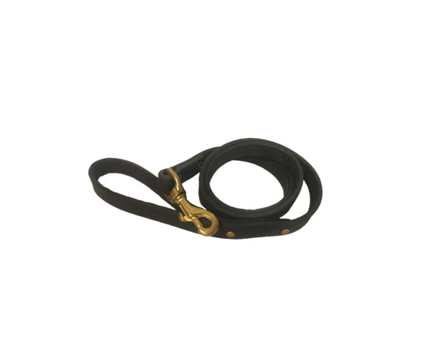 Leather lead with brass clip