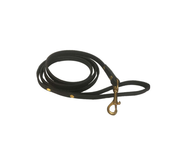 Leather lead with brass clip