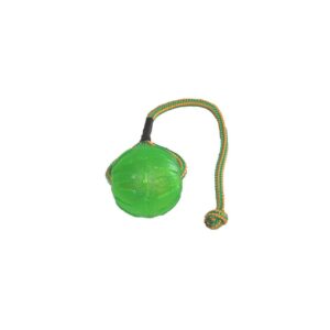 Green rubber ball on a rope