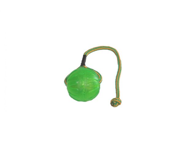 Green rubber ball on a rope